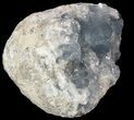 Celestine (Celestite) Crystal Geode - Madagascar #52893-1